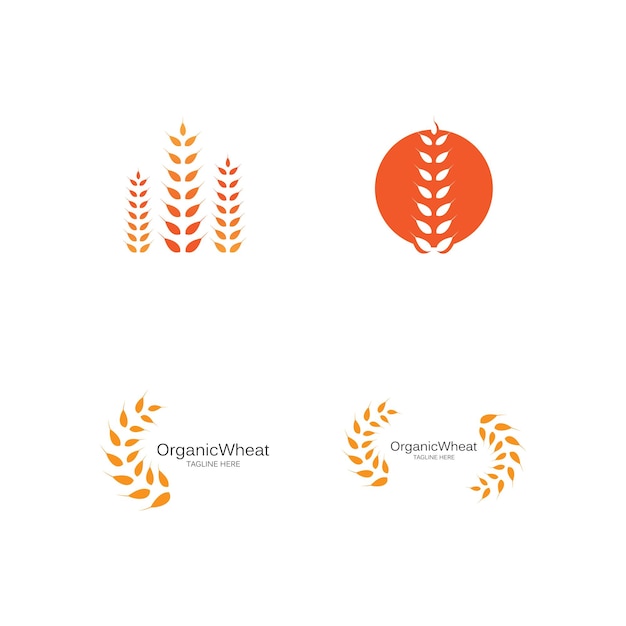 Дизайн векторной иконки логотипа пшеницы