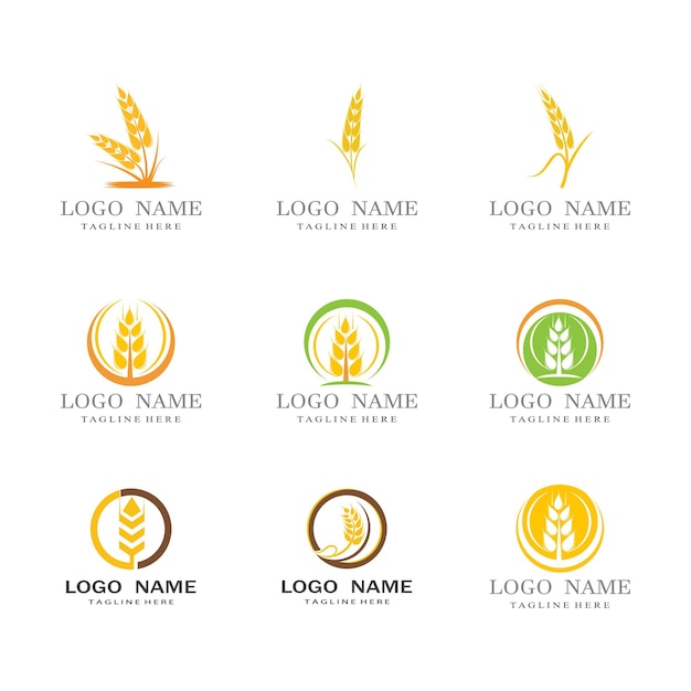 Wheat Logo template vector illustration design