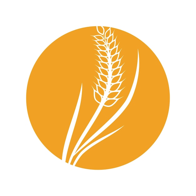 Wheat Logo template vector illustration design