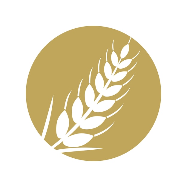 Wheat Logo template vector illustration design