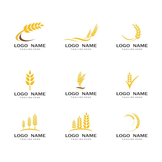 Wheat Logo template vector illustration design