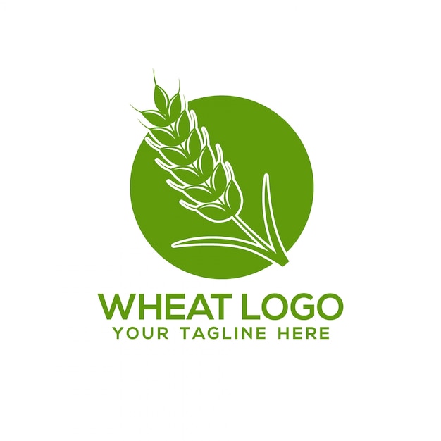 Wheat logo template