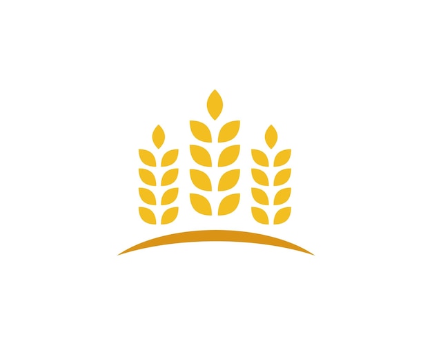 шаблон логотипа пшеницы