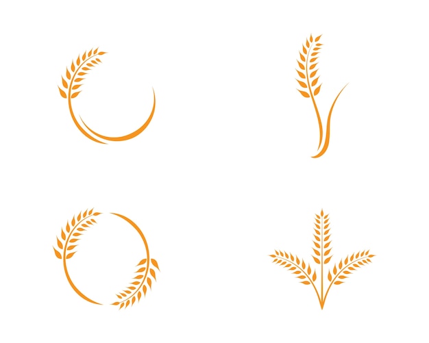 Modello di logo di grano