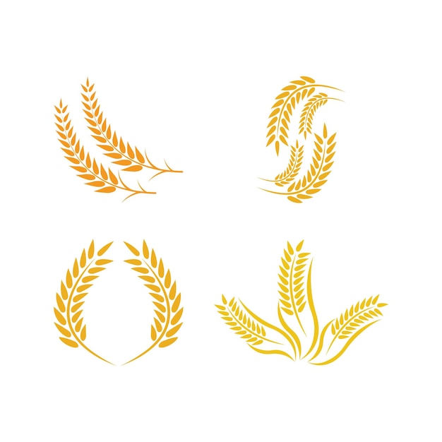 Vector wheat logo vector icon illustration