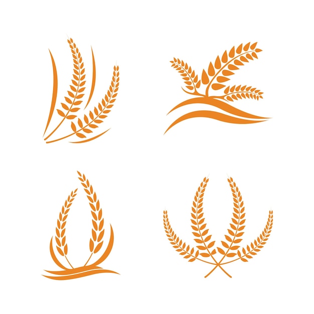 Wheat logo vector icon illustration