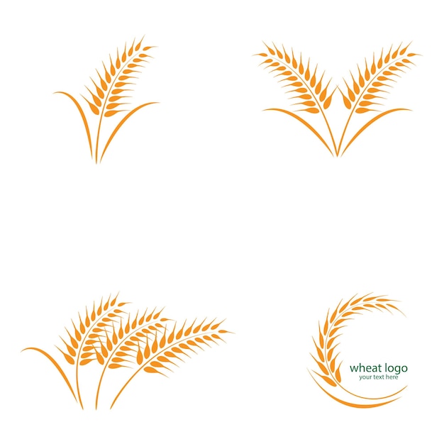 小麦のロゴのベクトル
