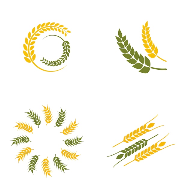 Vector wheat paddy logo