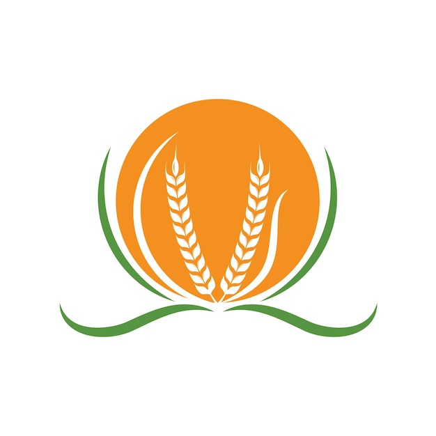 Wheat plant icon vector design illustration