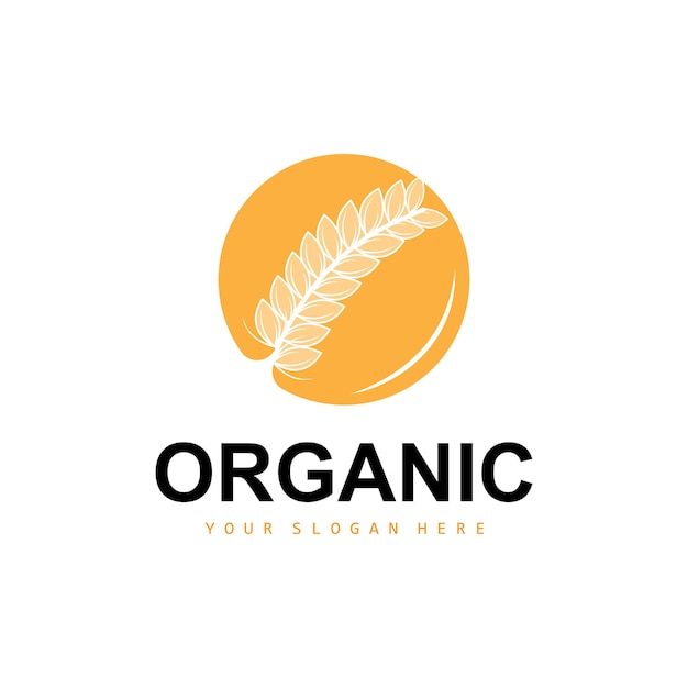 Wheat Rice Logo Agricultural Organic Plants Vector Luxury Design Golden Bakery Ingredients