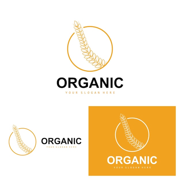 Wheat Rice Logo Agricultural Organic Plants Vector Luxury Design Golden Bakery Ingredients