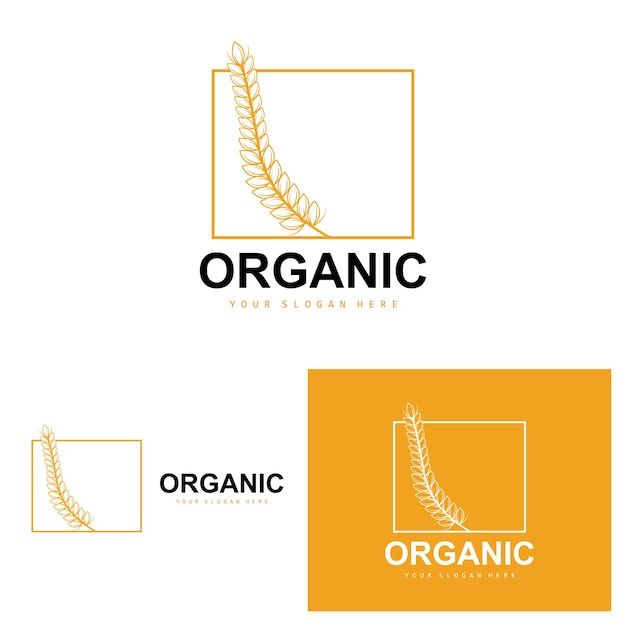 Пшеница рис логотип сельскохозяйственных органических растений вектор роскошный дизайн золотой пекарни ингредиенты