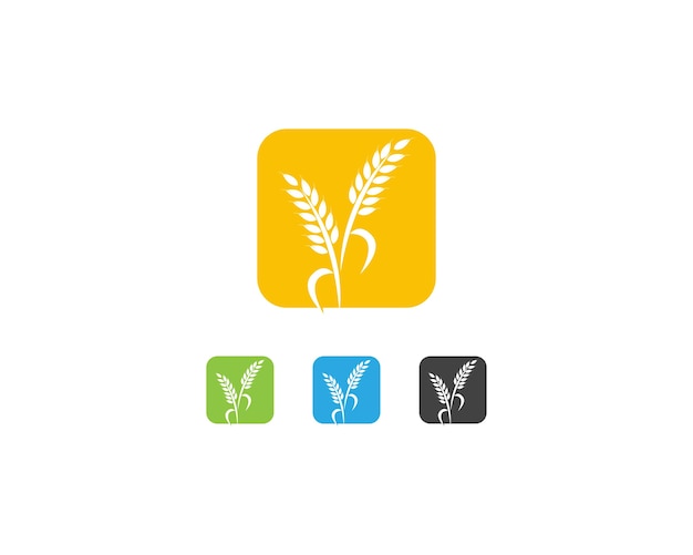 Wheat rice logo template