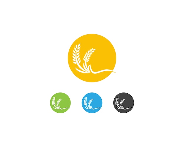 Wheat rice logo template