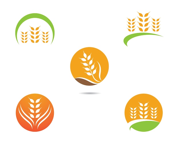 Wheat vector icon