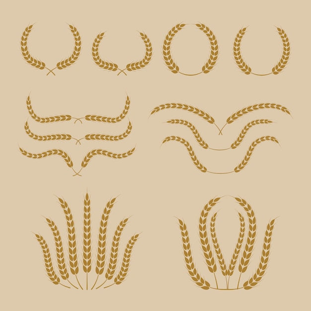 Vector wheat vector pack