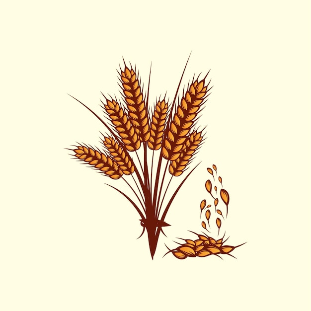 wheat yellow ripe spikelets with grains of wheat hand drawn illustration on white background