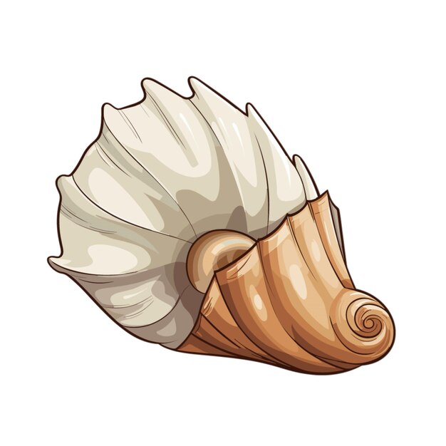 Whelk vector on white background