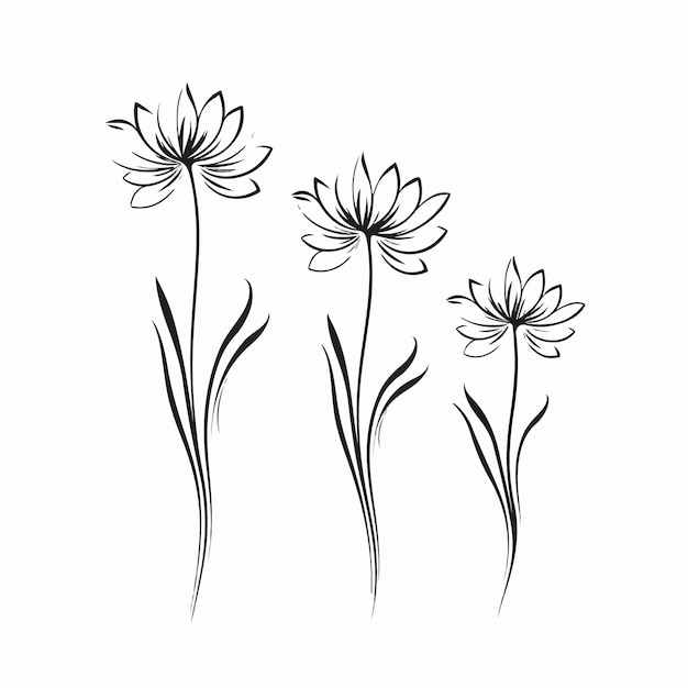 Whimsical aster illustrations in vector format suitable for prints
