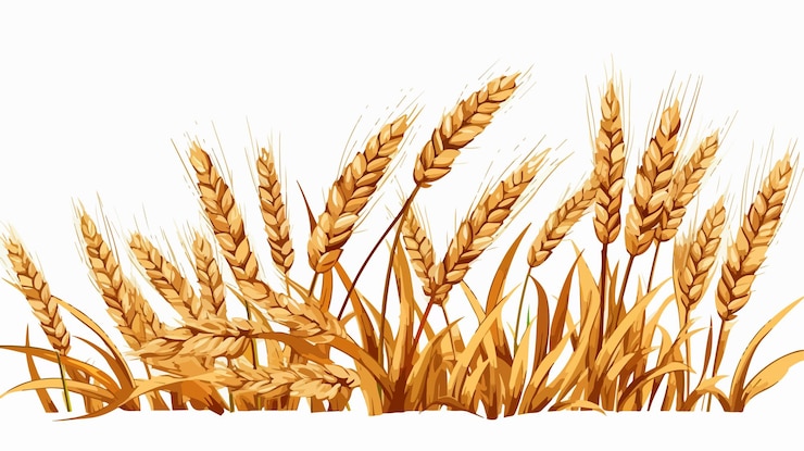 Vector whimsical cartoon doodle wheat illustration