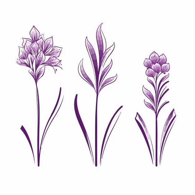 Whimsical hyacinth illustration with a handdrawn feel