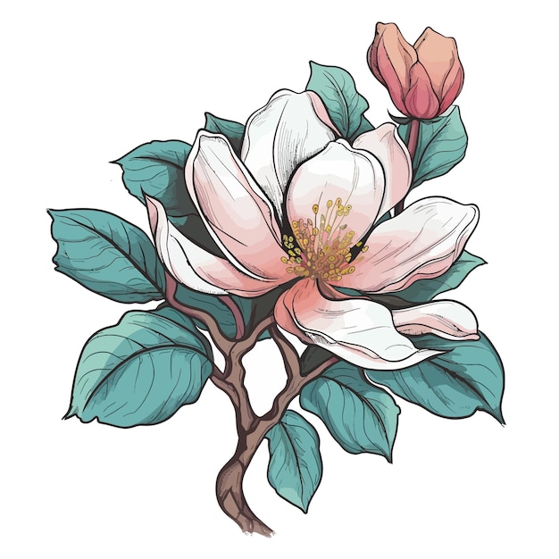 Vettore whimsical magnolia un vivace design di carattere in rosa e verde