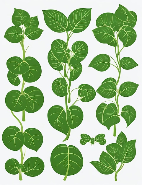 A whimsical money plant vector with white background