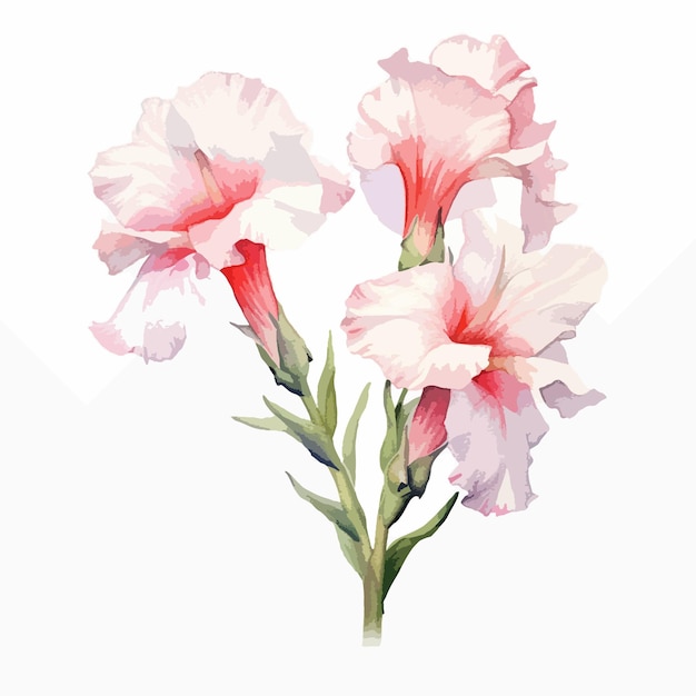 A whimsical watercolor image of a gladiolus flower