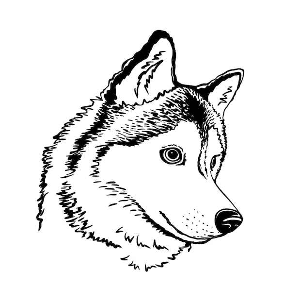 Белый и серый взрослый сибирский хаски изолированная векторная иллюстрация линейный логотип эмблемы искусства