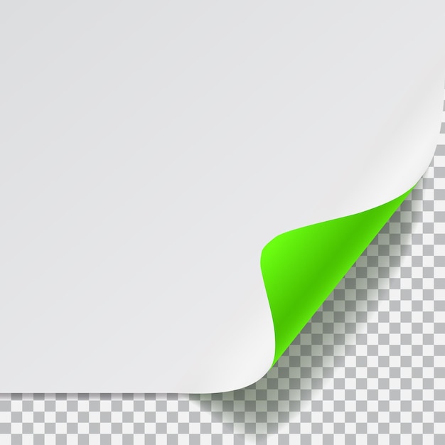곡선 모서리가 있고 투명한 배경에 그림자가 있는 흰색 및 녹색 용지