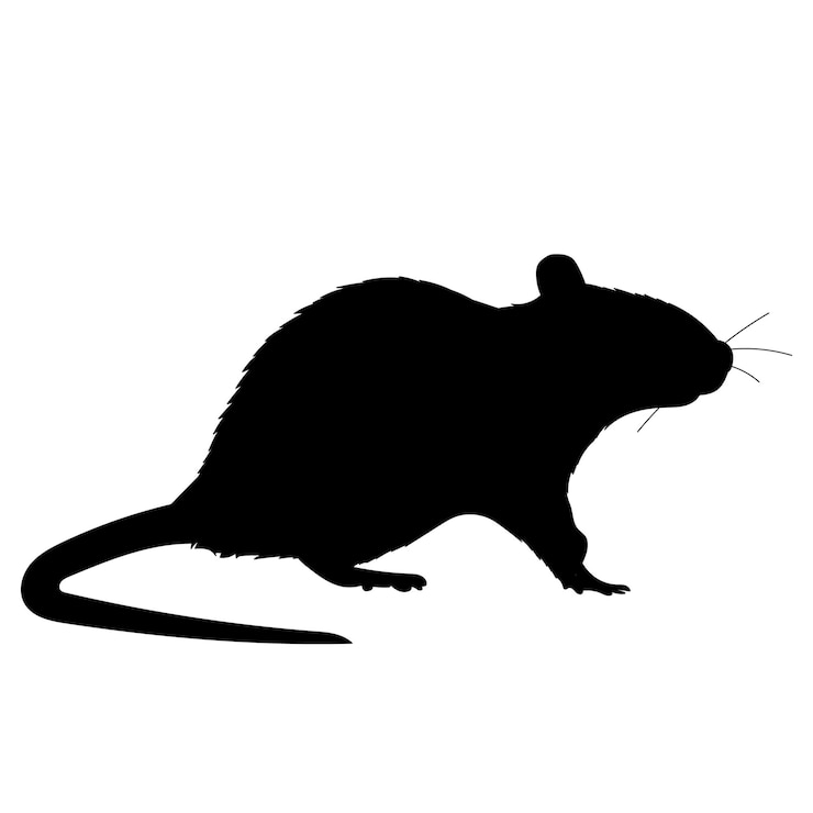 Vector a white background black silhouette of a rat mouse