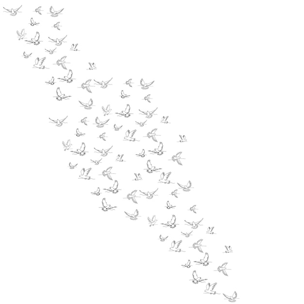 White background a continuous line drawing of a flock of birds flying