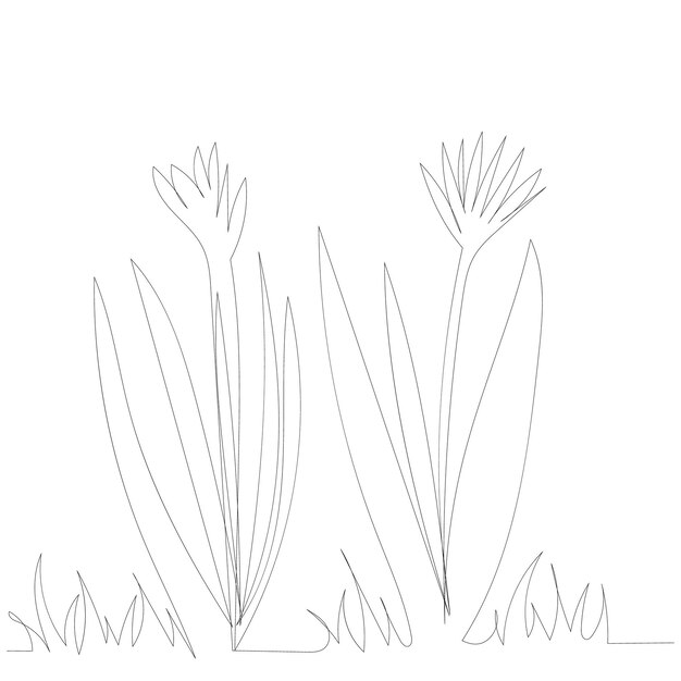 White background drawing with one continuous line of flowers and plants