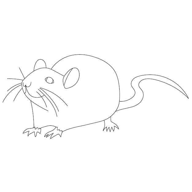 Vector white background outline rat mouse