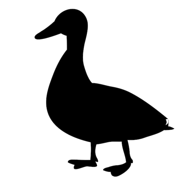 A white background silhouette goose bird duck