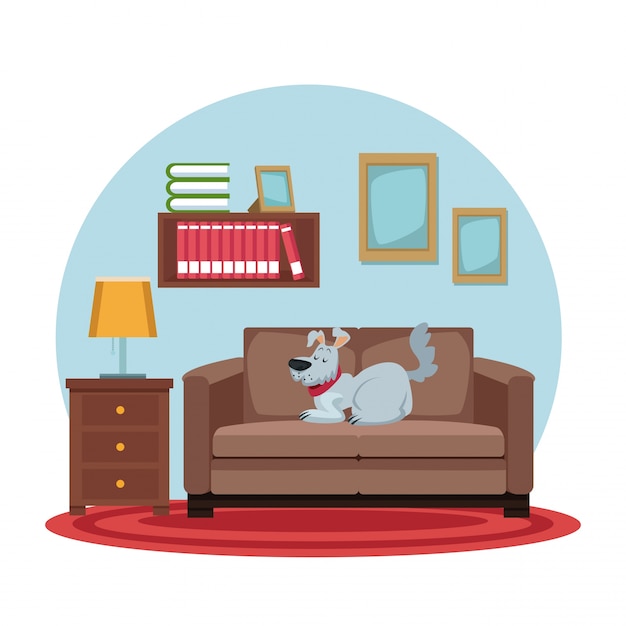 Белый фон с круговой красочный сцене собака спать на диване