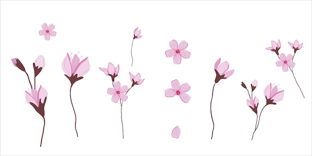 A white background with pink flowers and leaves.