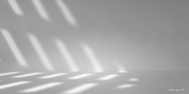 ベクトル 白の背景に影と日光スタジオ バナーデザイン ルームベクトル図