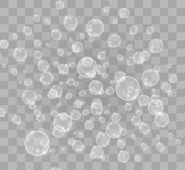 White beautiful bubbles on a transparent background  Bubble.