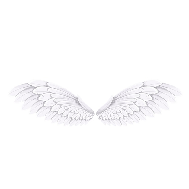 Vector white bird or angel wings, vector illustration.