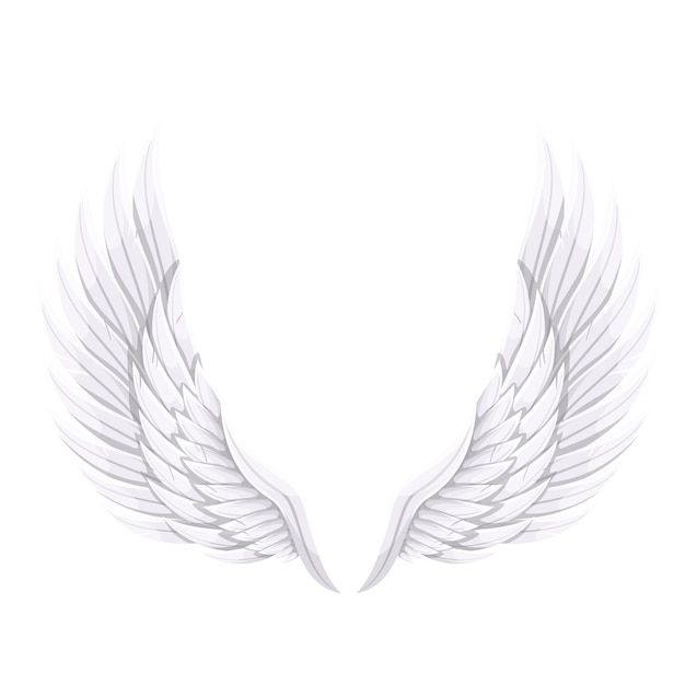 Vector white bird or angel wings