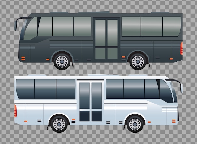 white and black bus public transport vehicles
