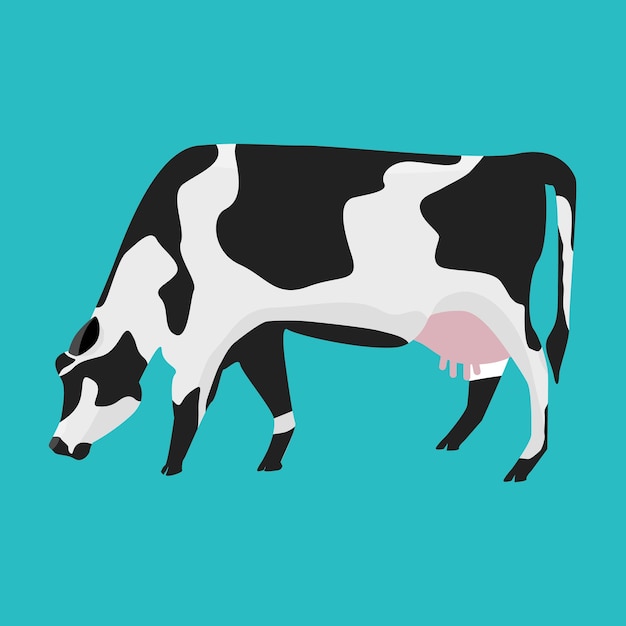 White and black cow with flat and solid color design