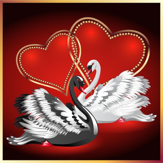 White and black swans on red background with red and golden ornament two hearts Valentine day card