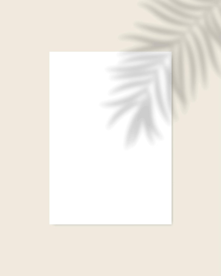 Vector white blank a4 sheet mockup with palm leaf shadow