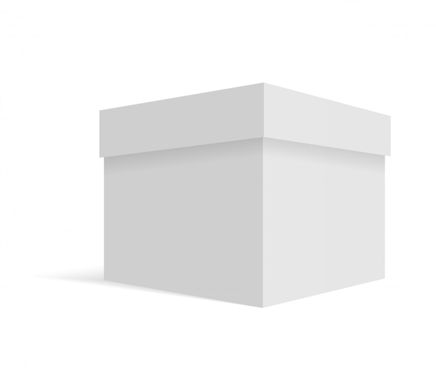 White blank cardboard package box