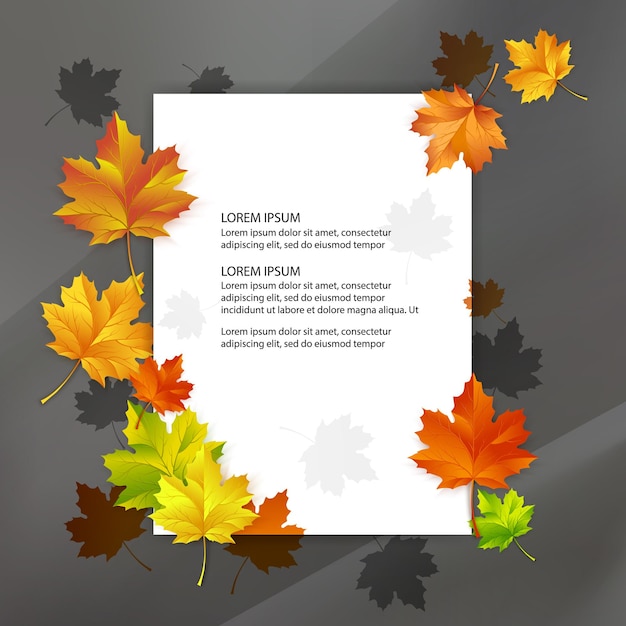 White blank decorated with colorful autumn maple leaves.