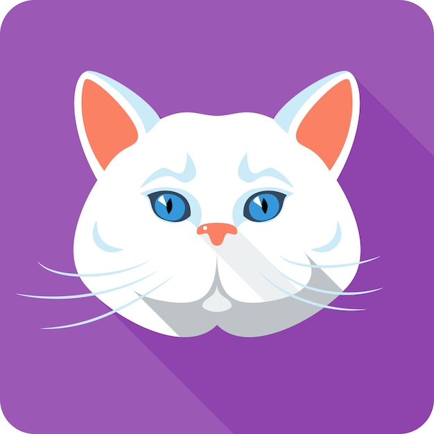 White british cat icon flat design