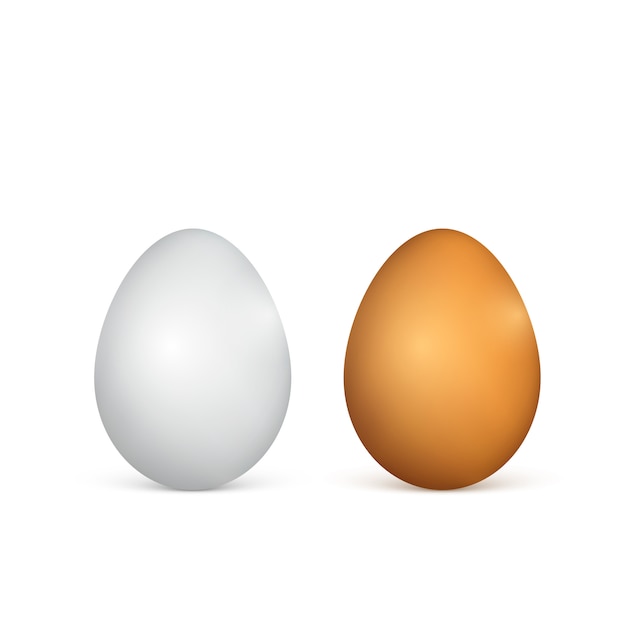 White and brown eggs. Realistic  chicken eggs.  illustration  on white background