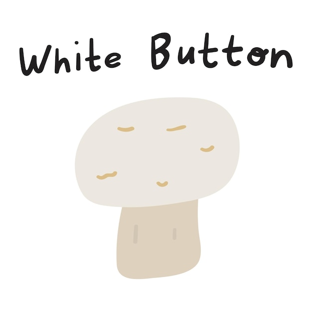 White button mushroom.  Flat vector illustration on white background.